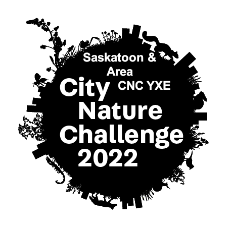 City Nature Challenge Saskatoon and Area CNC YXE 2022 Logo